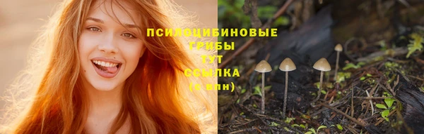 spice Алексеевка