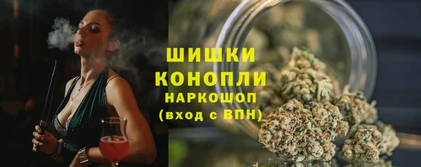 прущие грибы Алзамай