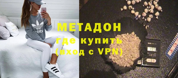 прущие грибы Алзамай