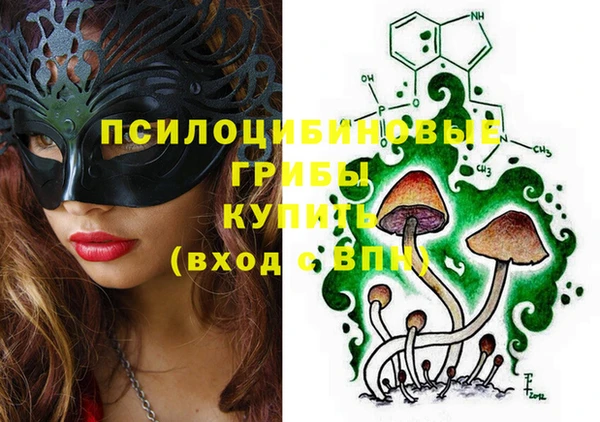 spice Алексеевка