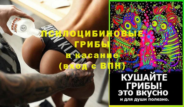 прущие грибы Алзамай