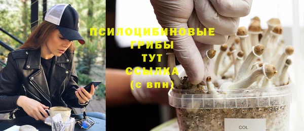 spice Алексеевка