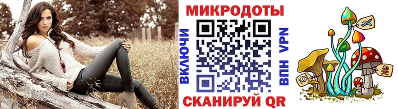 Псилоцибиновые грибы мицелий  Рошаль 